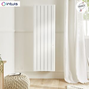 Radiateur Fonte Noirot Beladoo Nativ 2000w Vertical Blanc Connecte Intuis M153217