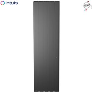 Noirot Radiateur Fonte Noirot Beladoo Nativ 1000w Vertical Gris Anthracite Connecté Intuis M153223