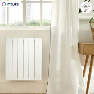 Radiateur Fonte Noirot Beladoo Nativ 750w Blanc Connecte Intuis M153112