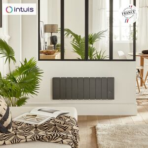 Intuis Radiateur Fonte Noirot Beladoo Nativ Plinthe 1000w Anthracite Connecté Intuis M153423