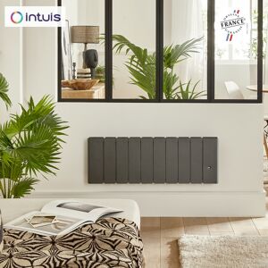 Intuis Radiateur Fonte Noirot Beladoo Nativ Plinthe 1500w Anthracite Connecté Intuis M153425