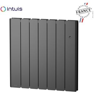 INTUIS Radiateur Fonte Noirot Beladoo Nativ 1250w Anthracite Connecté Intuis M153124