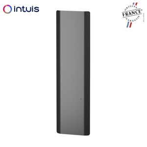 Radiateur Fonte Noirot Calidoo Nativ Vertical 1500w Anthracite Connecte Intuis M152225