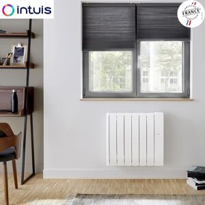 Radiateur Inertie Noirot Sloop 1250w Connecte Intuis M146114