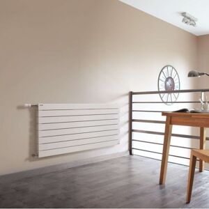 Radiateur Chauffage Central Acova - Fassane Horizontal Double 855w Vxd-059-080 - Publicité