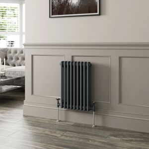 DURATHERM 600 x 425mm Double Horizontal Traditional Colosseum Anthracite Column Radiator - Anthracite