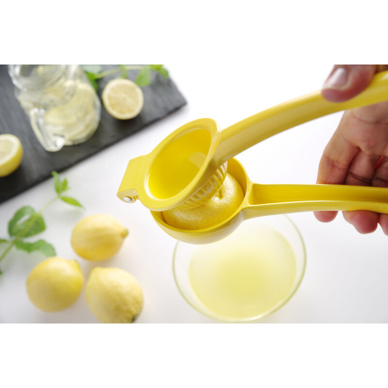Notice d'utilisation, manuel d'utilisation et mode d'emploi HENDI Presse-Agrumes Manuel pour Citrons   