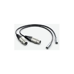 Blackmagic Design HYPERD/AXLRMINI2, mini XLR (3-pin), Hanstik, XLR (3-pin), Hunstik, 0,495 m, Sort