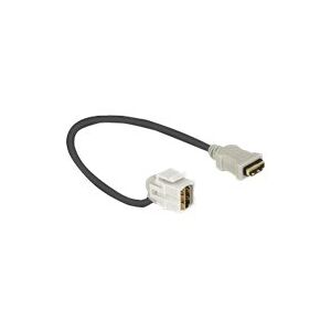 Delock Keystone Module HDMI female > HDMI female 110° with cable - HDMI-kabel - HDMI hun til HDMI hun - 22 cm