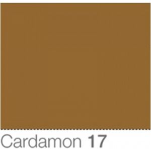 Colorama Fond de Studio 1.35 X 11m Cardamon