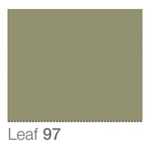Colorama Fond de Studio 1.35 X 11m Leaf