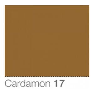 Colorama Fond de Studio 2.72 X 11m Cardamon