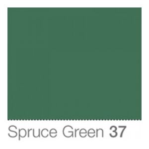 Colorama Fond de Studio 2.72 X 11m Spruce Green