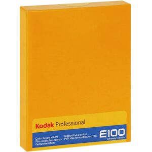 Kodak Ektachrome E100 4X5 Inch (10 Films)