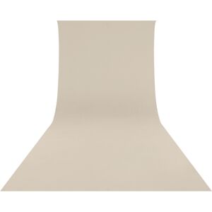 WESTCOTT Fond de Studio en Tissu Beige 27 x 61m