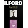 ILFORD Papel Galeria Prestige Gold Raster 290g A4 25F Silk