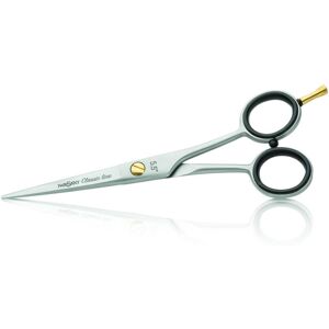 Beauty Coiffure Ciseaux de coupe Classic Iwasaki 5,5