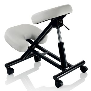 Beauty Coiffure Tabouret ergonomique Master Inox noir