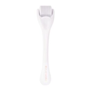 Brushworks Rouleau Micro-Aiguilles Accessoires visage