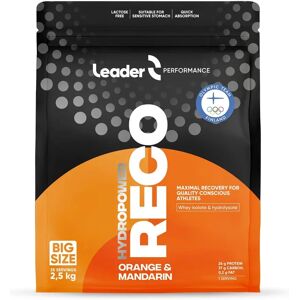 Leader Performance Combat Reco 2.5 Kg Orange & Mandarine