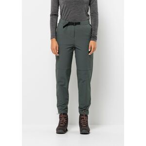 Jack Wolfskin Trekkinghose »WANDERMOOD PANTS W« slate-green  44