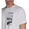 Adidas big logo q2 camiseta manga corta hombre Blanco (L)