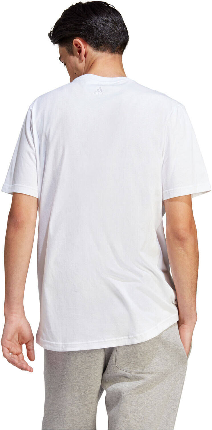 Adidas all szn graphic camiseta manga corta hombre Blanco (S)