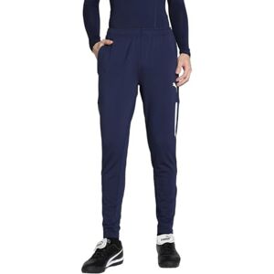 Puma teamLIGA Training Pants Pro