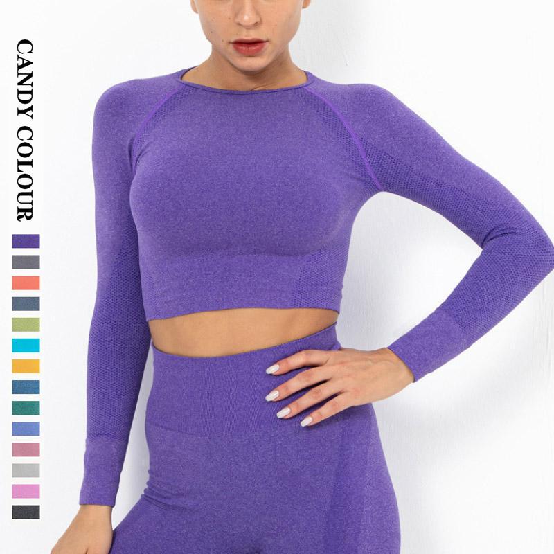 Nessaj Women Gym Shirts Seamless Sports Yoga Crop Tops Long Sleeve Fitness Tights Shirt Running Clothing Workout Sportswear