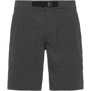 Dolomite Pelmo Funktionsshorts Herren grau L