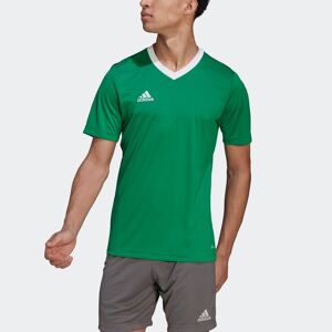 Adidas Performance Fussballtrikot »ENT22 JSY« Team Green / White  XXL