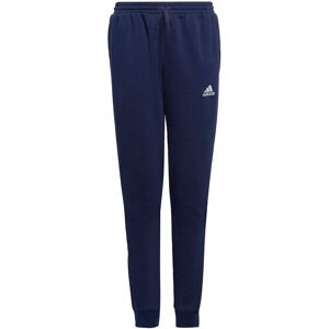 Adidas Performance Trainingshose »ENT22 SW PNTY«, (1 tlg.) Team Navy Blue 2  164