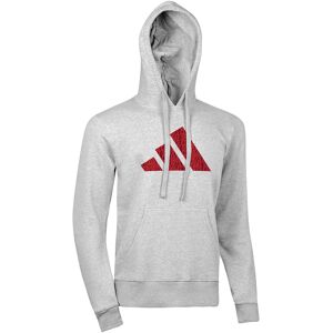 Adidas Performance Hoodie »Perfo Script Graphic Hoody« grau  L