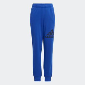 Adidas Sportswear Sporthose »U BL PANT«, (1 tlg.) Semi Lucid Blue / Legend Ink  176