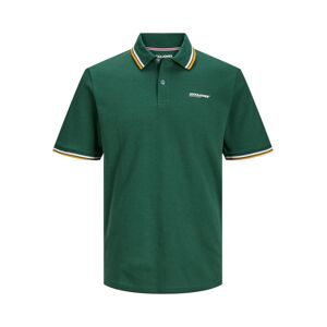 Jack & Jones PlusSize Poloshirt »JJCAMPA POLO SS PLS« dark green Größe 4XL