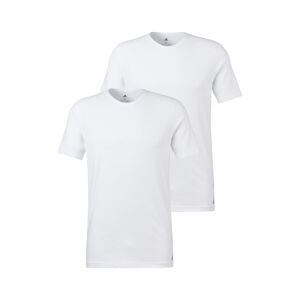 Adidas Sportswear T-Shirt »