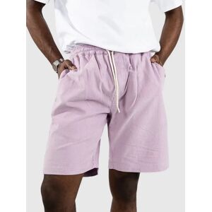 Blue Tomato Mini Cord Shorts lavender S male