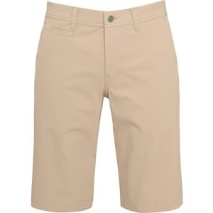 Alberto Shorts Master Cooler 3xDry beige male 46