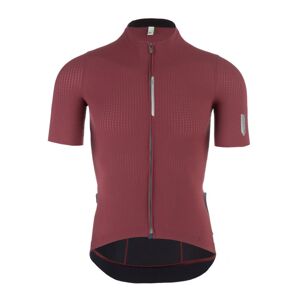 Q36.5 Pinstripe Pro - Fahrradtrikot - Herren