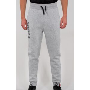 Alpha Industries Basic Jogginghose - Grau - 3XL - unisex