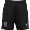 Castore Bayer 04 Leverkusen Short 3rd 2023/2024 F008 - XL