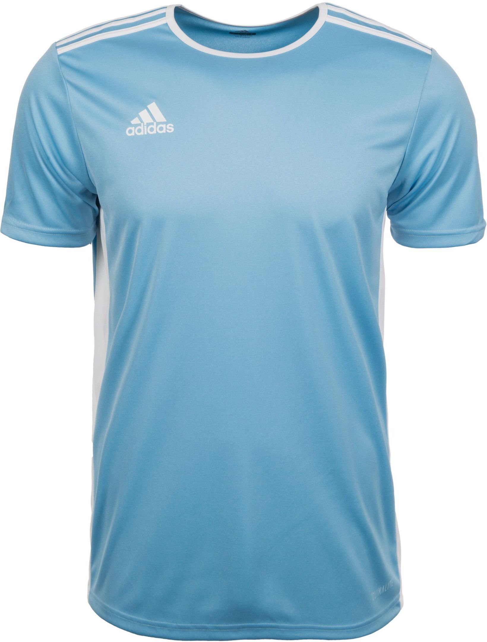 Adidas Performance Fußballtrikot »Entrada 18«, hellblau-weiß