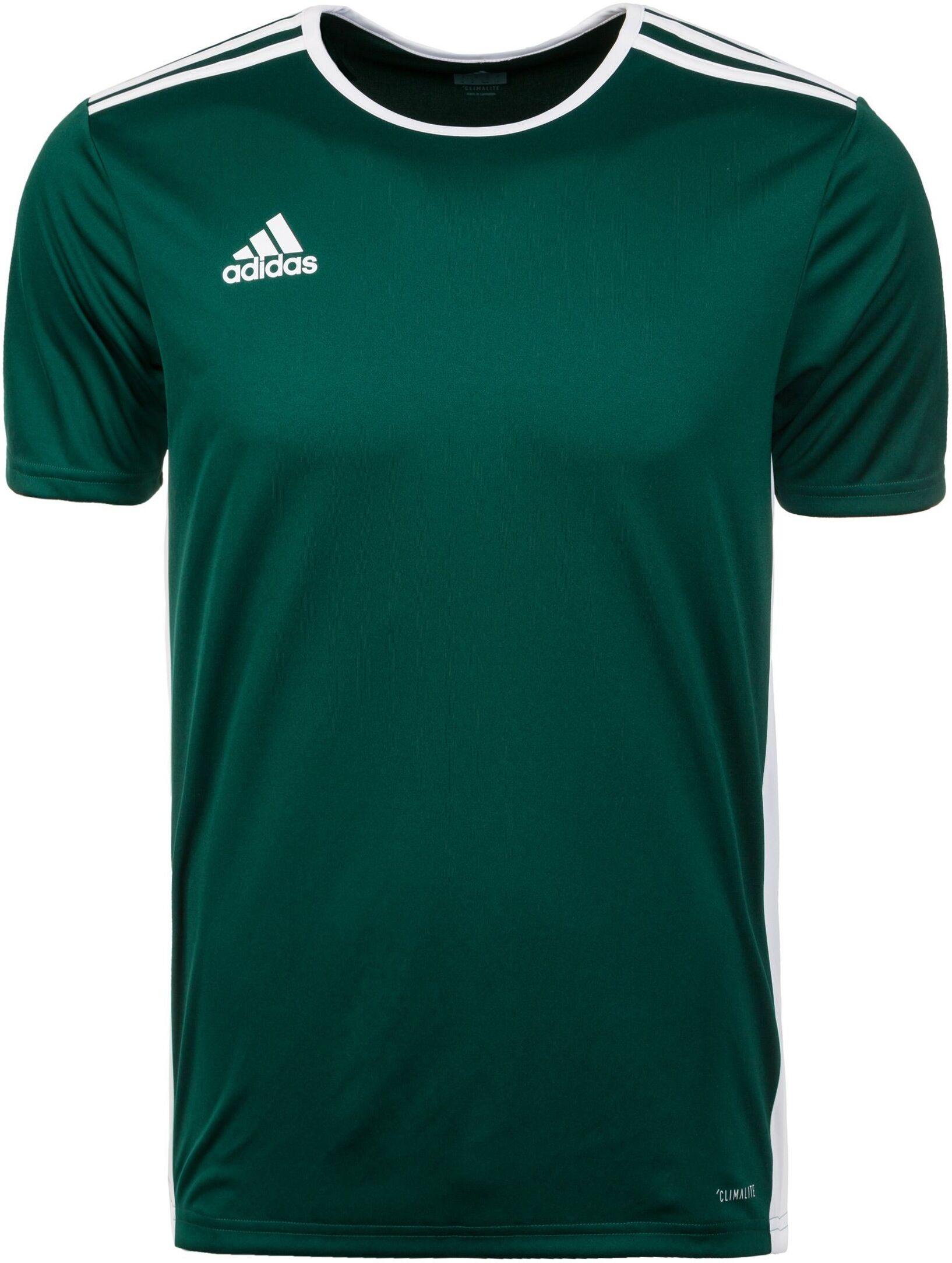 Adidas Performance Fußballtrikot »Entrada 18«, dunkelgrün-weiß