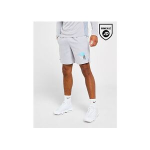 The North Face 24/7 Graphic Shorts, Grey