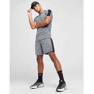 Nike Academy Shorts Herre, Grey