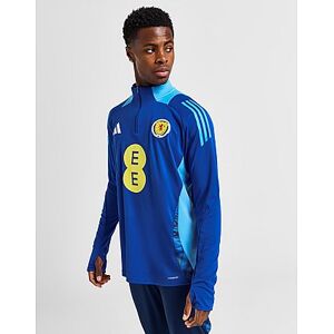 adidas Scotland Tiro 24 Training Top, Blue