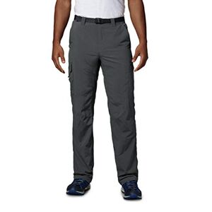 Columbia men's cargo hiking trousers, Silver Ridge cargo pants., grey, 40