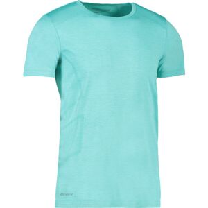 Geyser Sømløs T-Shirt, G21020, Mint Melange, Str. 3xl XXXL Mint