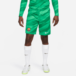 FC Barcelona 2023/24 Stadium Goalkeeper Nike Dri-FIT-fodboldshorts til mænd - grøn grøn XL