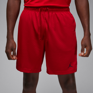 Jordan Sport Dri-FIT-shorts i mesh til mænd - rød rød 3XL